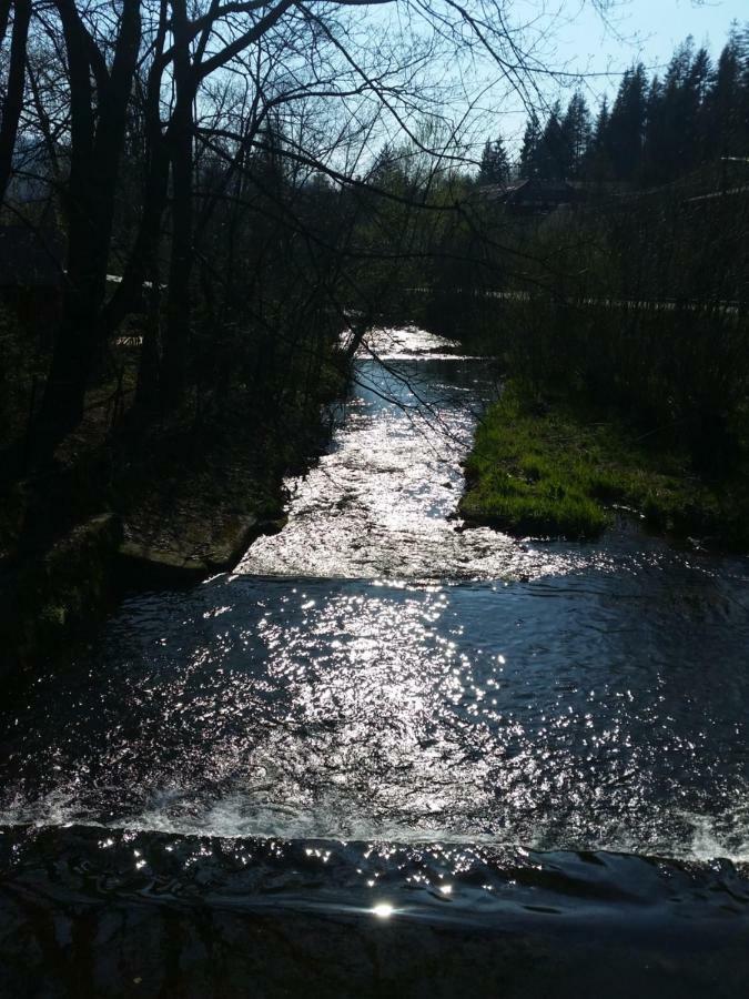 Bialy Domek Apartment Wisla Bagian luar foto